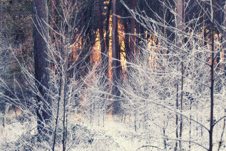 Winterwonderland Serie | www.visovvio.de | Eiswelt,  Märchenwelt, never stop exploring