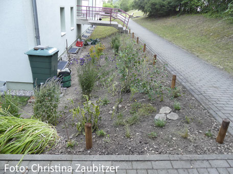 naturnahe Bepflanzung Hanggarten / Hanggarten mit Wildstauden bepflanzen