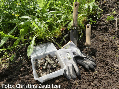 Anlegen eines Hanggartens / Unkrautstecher / Handgrabegabel / Gartenhandschuhe