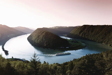 Flusskreuzfahrtschiff an der Schlögener Schlinge 2025