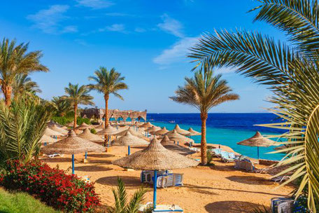 Sandstrand mit Schirmen und Liegen in Ägypten 2025