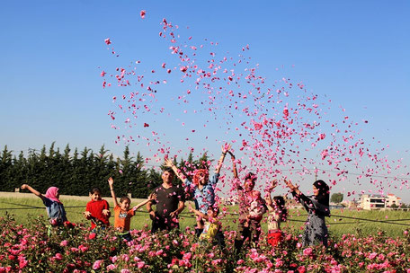 Im Nahen Osten entwickelt sich das libanesische Projekt Buzuruna Juzuruna zum zentralen Knotenpunkt eines wachsenden Netzwerks rund um freies Saatgut und bringt ein wenig Hoffnung in eine von Kriegen zermürbte Region.