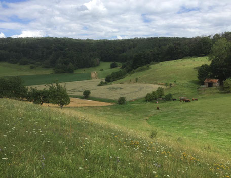 Das schöne Weserbergland