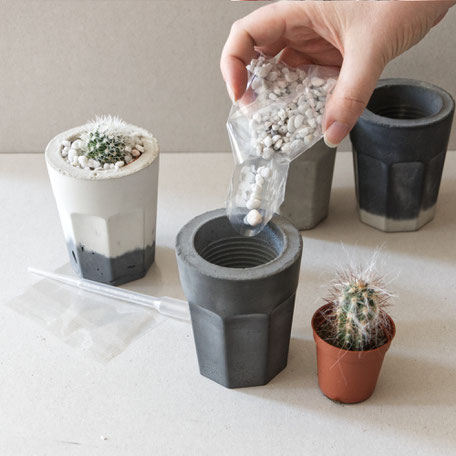 Planting the PASiNGA concrete coffee glass with rocks a small cactus