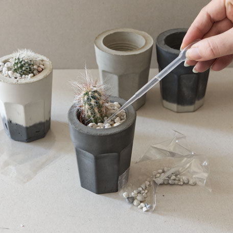 Cactus watering tip for the PASiNGA concrete coffee glass planter kit
