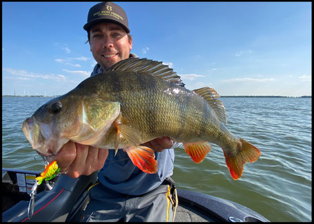 Barsche angeln mit dem Jig Spinner - The Punk von Reel Busy Fishing