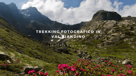 Foto della Val Biandino col Pizzo dei Tre Signori e i rododendri in fiore