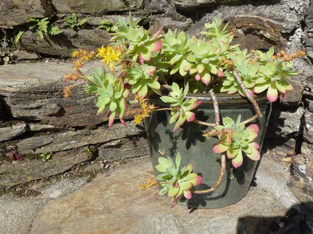 Schiste gite de liou