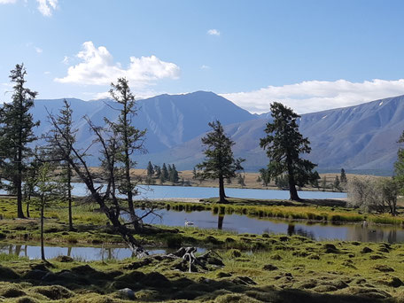Horse Ride Western Mongolia