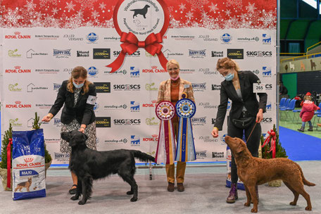 RESERVE BEST IN SHOW, FEDERICA