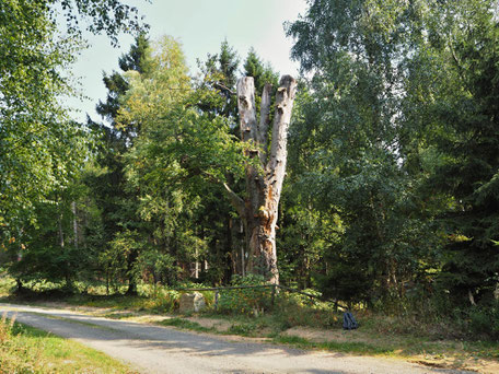 Der Komturhof ist sehr gut vom Klosterwanderweg oder dem Naturlehrpfad zu erreichenAuf dem Weg vom Kloster Himmelpforte bogen die Mönche an der Mönchsbuche Richtung Darlingerode ab nahmen im Dorf die Mönchsgasse, um die dortigen Klosterhöfe zu erreichen.