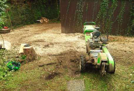 Die Fräsmaschine kommt meist direkt nach der erfolgreichen Baumfällung zum Einsatz (Hier in Köln)..