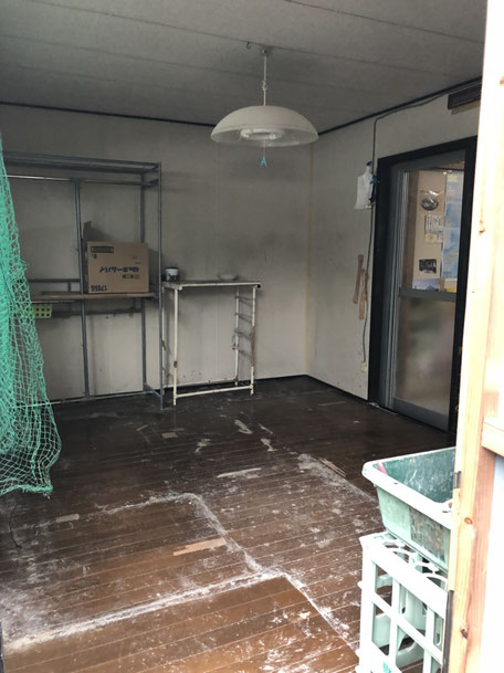 シルバーサポート。after スッキリ!猫にとっては寂しい部屋になりました。