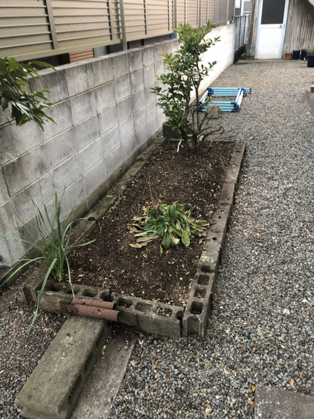 花壇1・after