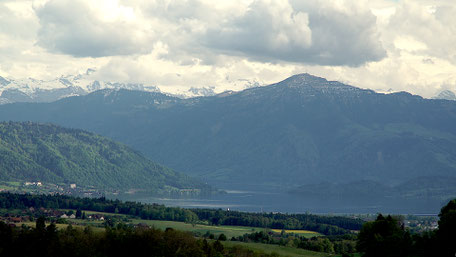 Hochzeitsvideohintergrund