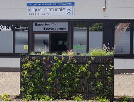 Pflanzen Gabione bei aqua.naturale Beregnung in Neuss