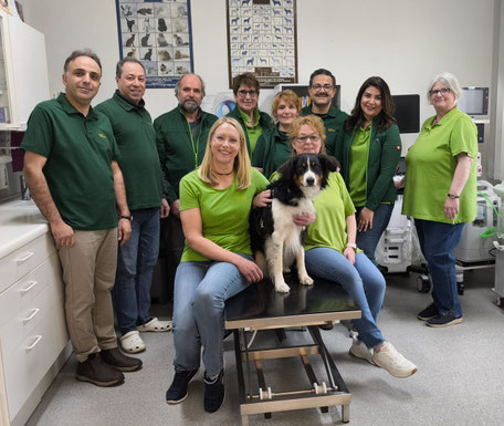 Tierarzt Himmelpforten Kleintiere Hund Katze