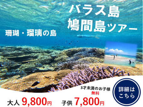 サンゴの島　バラス島シュノーケリングツアー
