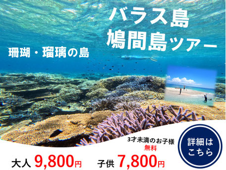サンゴの島　バラス島シュノーケリングツアー
