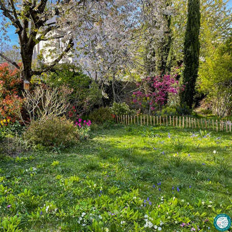 Favoriser les plantes locales