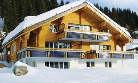 collettore a tubi ad alto vuoto di Solar hoch 2 - altamente efficiente anche in inverno