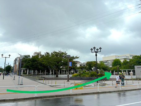 東綾瀬公園（ハトぽっぽ公園）