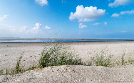 Nordseestrand mit Dünen im Frühsommer – Ruhe, Sonne und Meer auf Norderney - Strandloft Norderney Ferienwohnungen