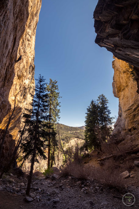 Spring Mountains Mount Charleston Recreation Nevada Las Vegas Sin City hiking wandern Natur hikelust