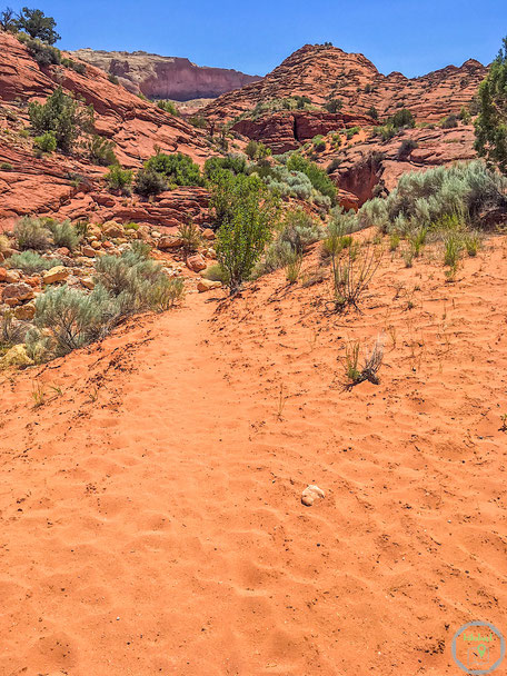 Wire Pass Trailhead Utah