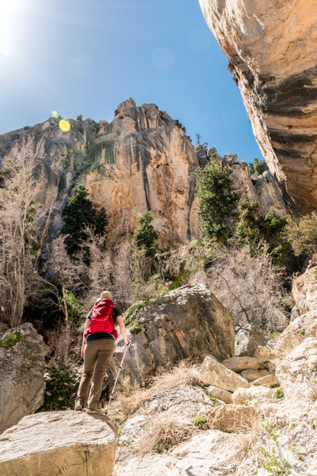 Spring Mountains Mount Charleston Recreation Nevada Las Vegas Sin City hiking wandern Natur hikelust Berge