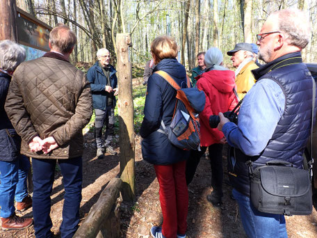 Bild 1 - Weltnaturerbe Müritz-Nationalpark
