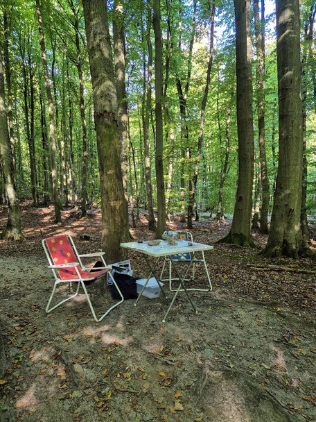 Unser gemütliches Plätzchen: Warten auf die nächste Gruppe (Bild: Silas Versteeg)