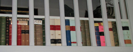 Faux leather books
