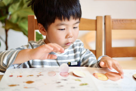 学習習慣の始まり
