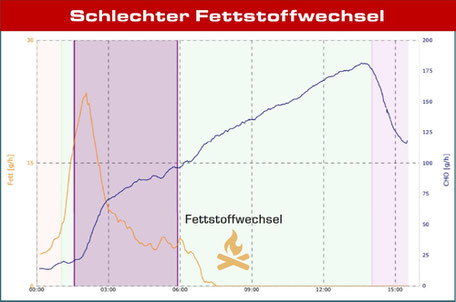 Schlechter Fettstoffwechsel