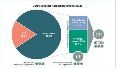 Ergebnisse bioelektrische Impedanzanalyse (BIA)