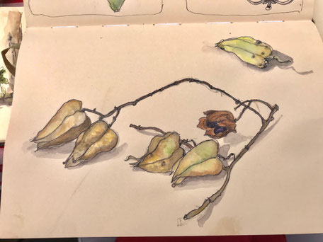 Birgit_Lippeck_Blasenesche