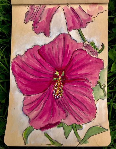 Birgit_Lippeck_Riesen-Hibiscus_Magdalena Kemping