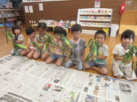 初めてのとうもろこしの皮むき