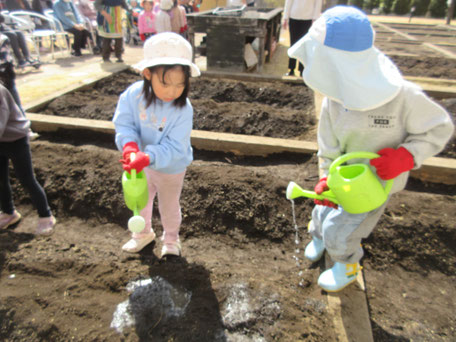 「じゃがいもの苗植え おおきくなーれ」