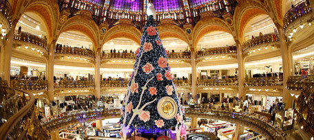 sapin noel printemps