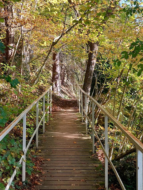 Promenade du Belvédère à Bomal