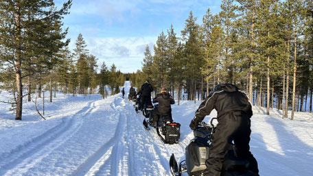Schneemobilgruppe von hinten im Fichtenwald auf Schnee