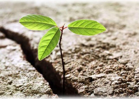 Resilienz Training - So stärken Sie Ihre persönliche Widerstandskraft!
