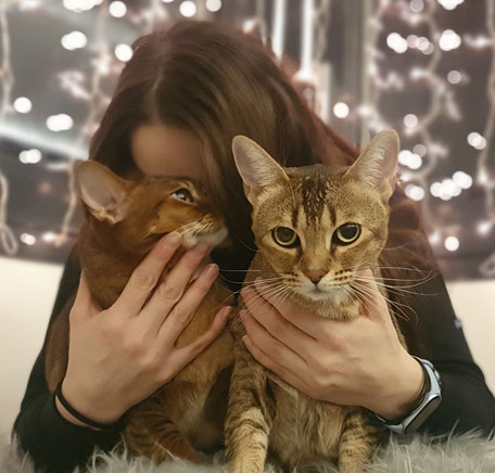 Katzen sind mediale Meister.