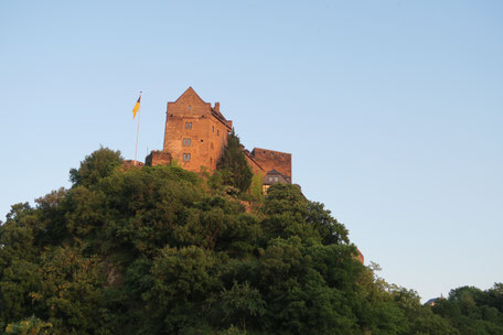 Burg Schönburg (Foto: MBO)