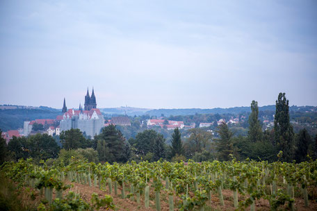 Hochzeit Schloss Proschwitz, Hochzeitsfotos Schloss Proschwitz, Hochzeitsfotograf Dresden, Hochzeitsfotograf Meißen, Hochzeit Meißen, Heiraten auf Schloss Proschwitz, Schloss Proschwitz Hochzeit, Hochzeitsfotos Schloss Proschwitz