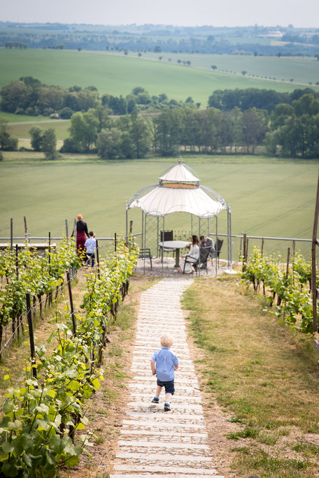 Hochzeitsfotograf Meißen, Hochzeit in Meißen, Hochzeit Winzerhof Golk, Heiraten in Meißen, Hochzeitslocation Meißen, Hochzeit Albrechtsburg Meißen