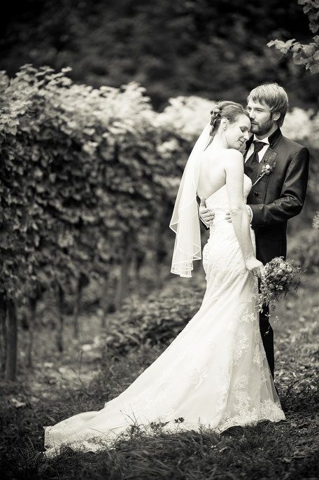 Hochzeit Schloss Proschwitz, Hochzeitsfotos Schloss Proschwitz, Hochzeitsfotograf Dresden, Hochzeitsfotograf Meißen, Hochzeit Meißen, Heiraten Schloss Proschwitz, Schloss Proschwitz