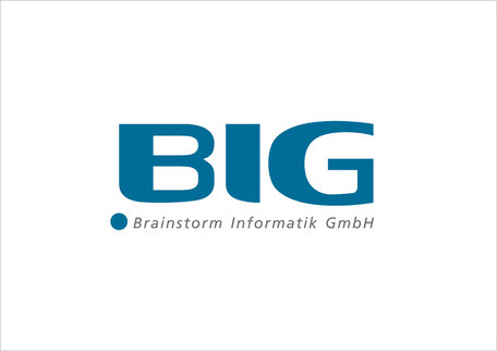 BIG Brainstorm Informatik GmbH - Logoentwicklung 